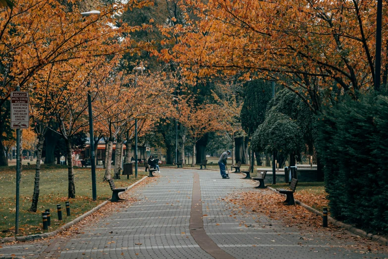 a woman walks down a city street under trees that have changing leaves