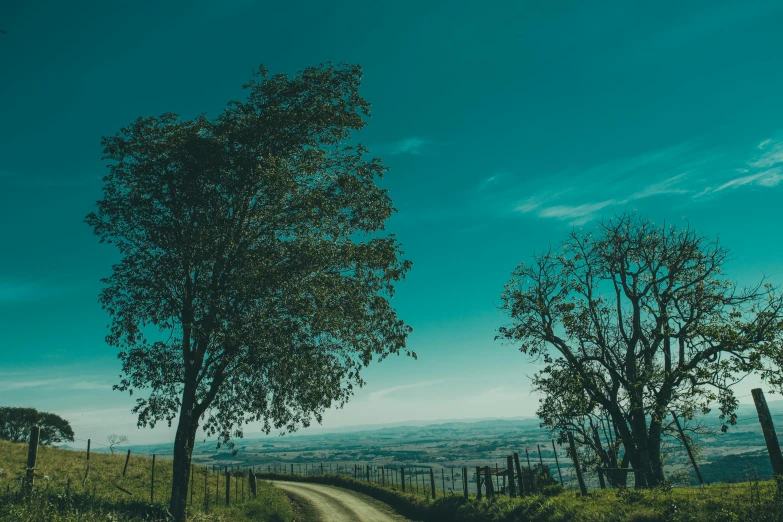 a dirt road on a hill in the middle of the day