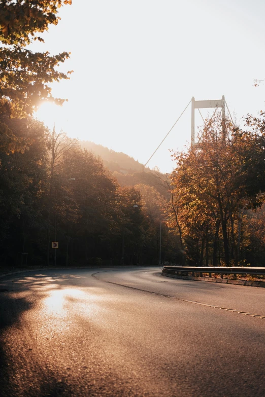 a street and some trees near a bridge