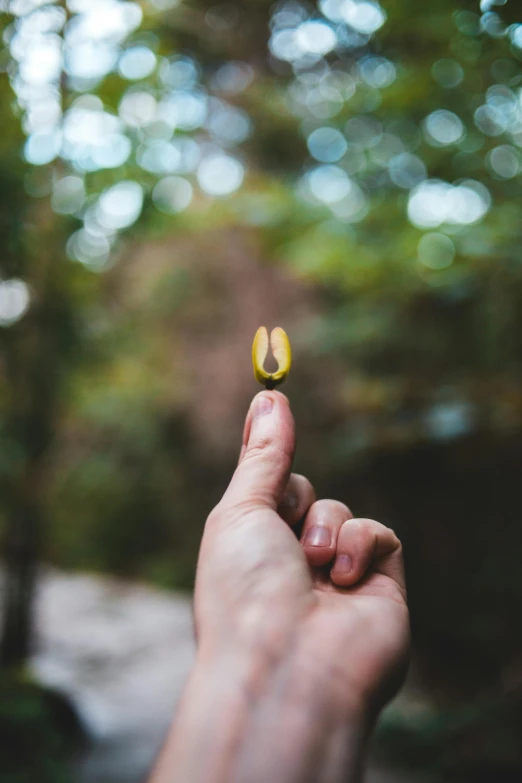 a person holding a tiny object in their left hand