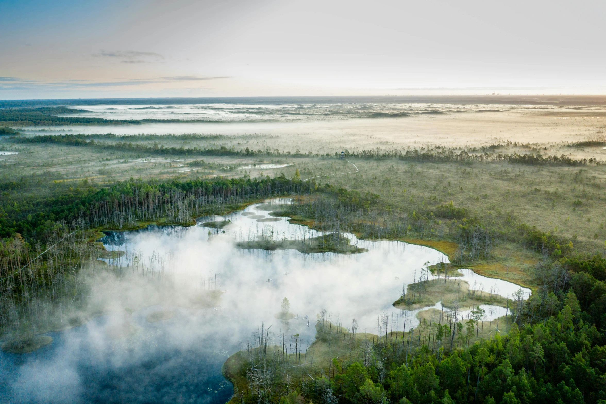 a large lake surrounded by forest in the middle of a field