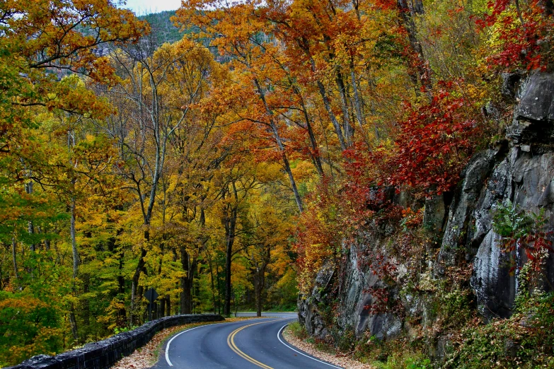 a scenic mountain road with leaves changing colors in the fall