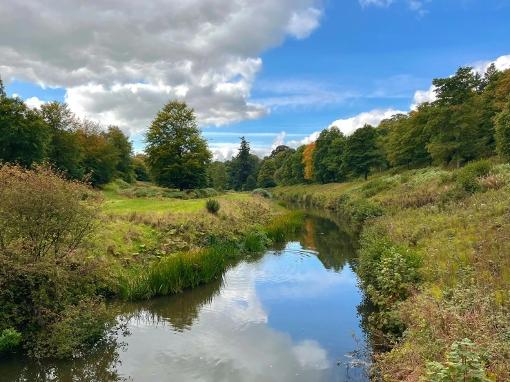 a small stream running through a lush green park