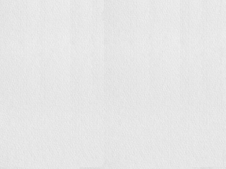 a white plain background that is very similar to the color of a white wall