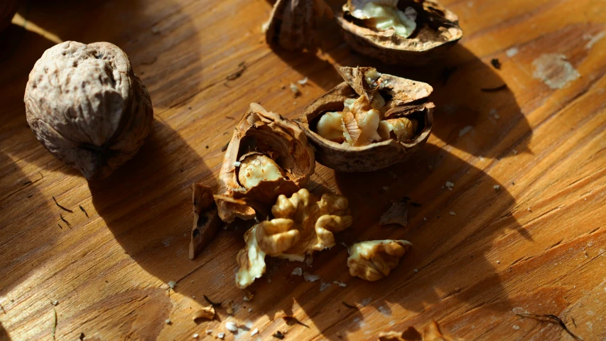 three pieces of an acorna and an egg shell