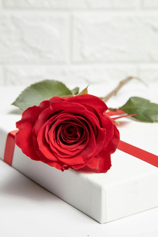 a red rose sits on a present box