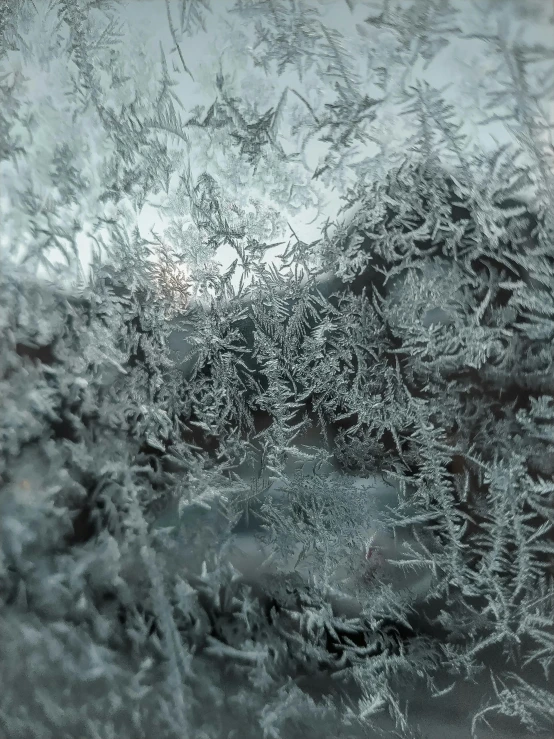 frosty pattern of ice on window pane