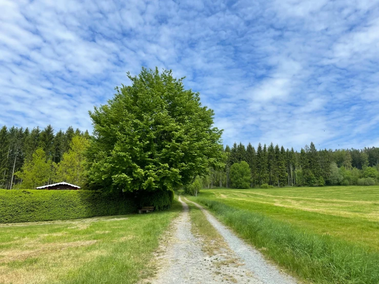 the sky is blue and white above a dirt road and tree