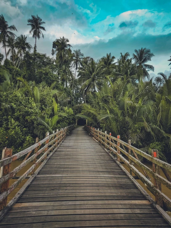 an old looking wooden walkway in front of trees