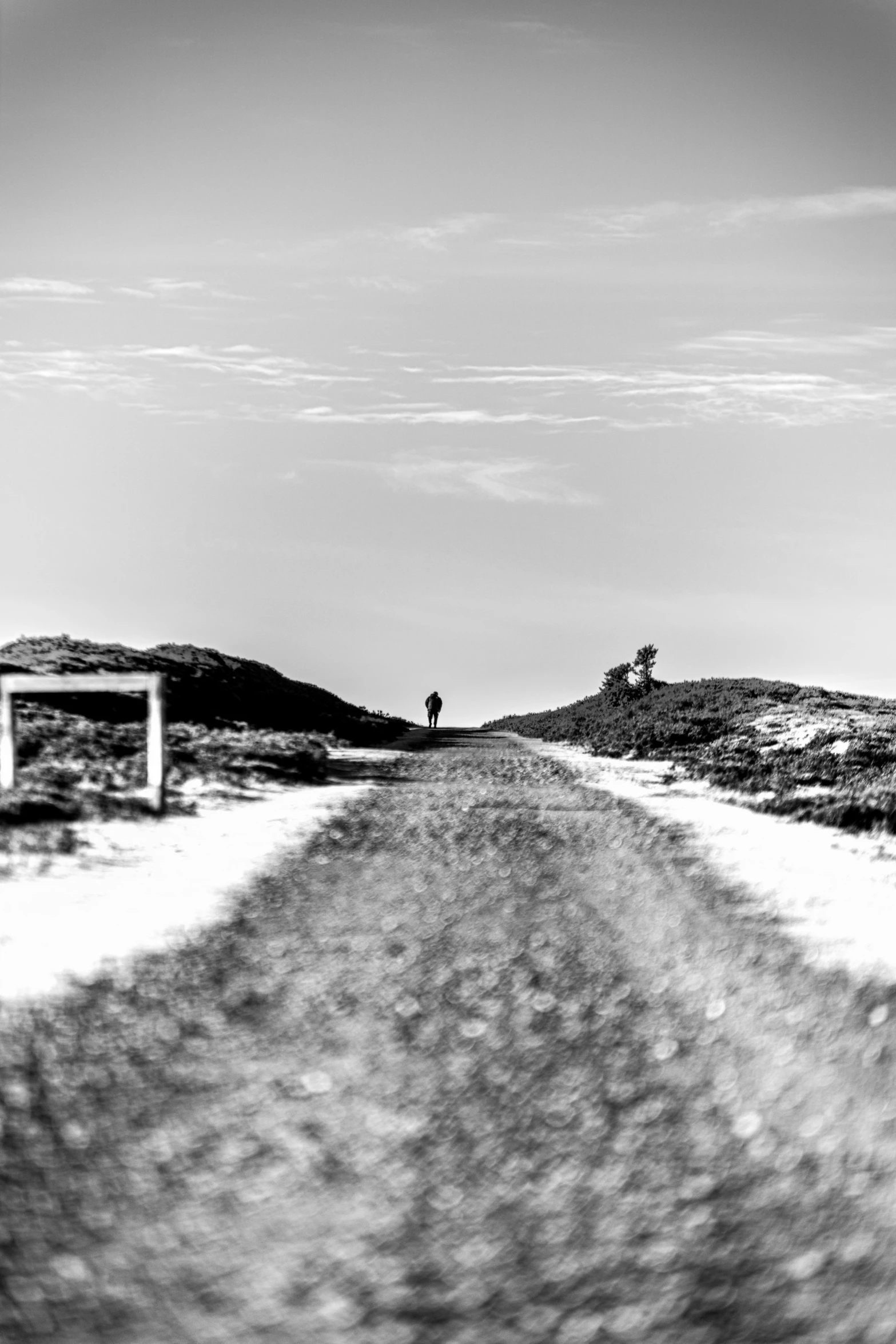 a black and white po shows a lone person