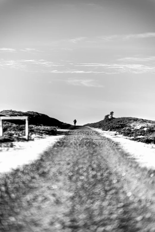 a black and white po shows a lone person