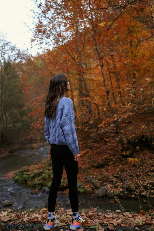 a person standing near a stream and trees with autumn colors