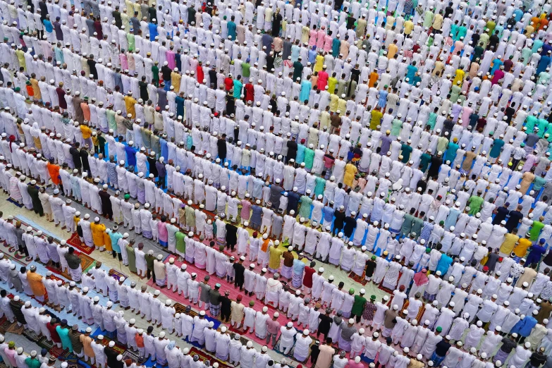 rows of plastic bottles lined up in rows