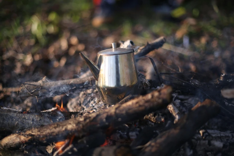 a kettle sitting on top of a wood in the forest