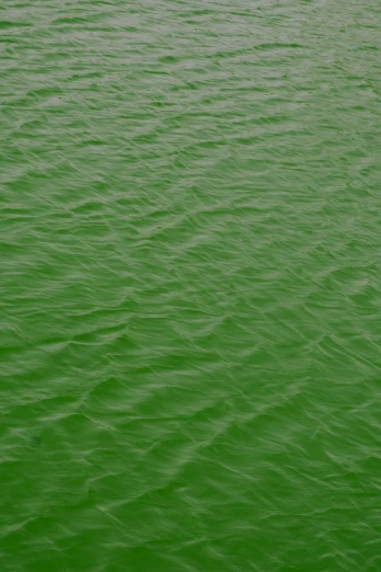 green water is full of ripples and has an orange buoy