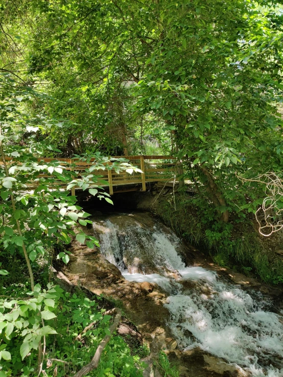 an old bridge in the middle of some trees