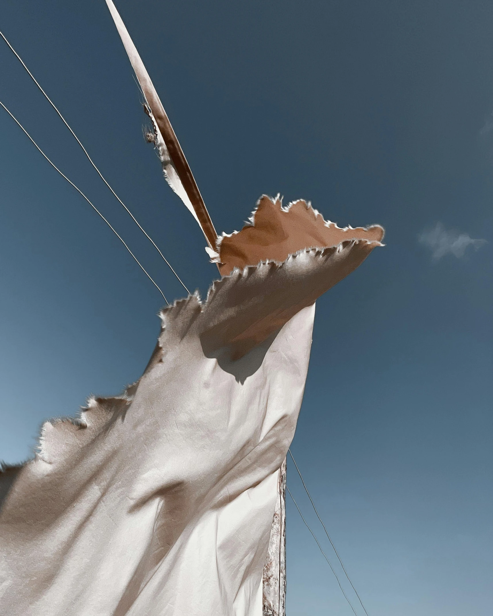 a bird standing near some electrical lines under a blue sky