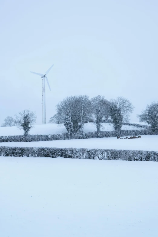 wind turbine with snow and trees surrounding in an area