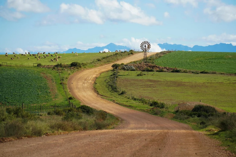 a dirt road that runs through an open green field with a windmill