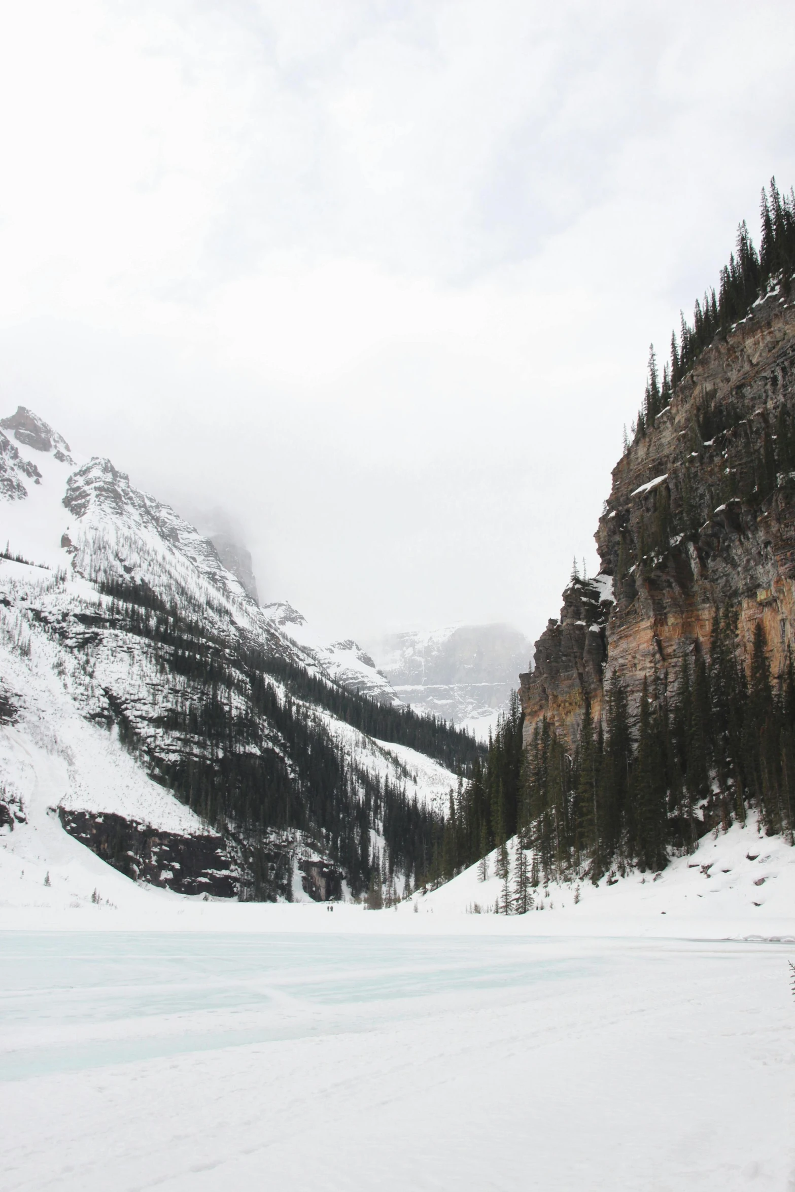 some snowy mountains and trees in the distance