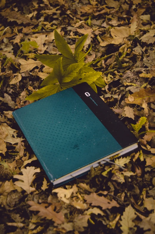 a blue book on leaves in the grass