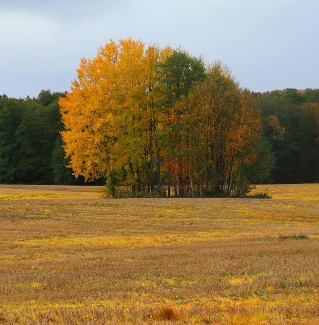 an empty open area with no people in the field