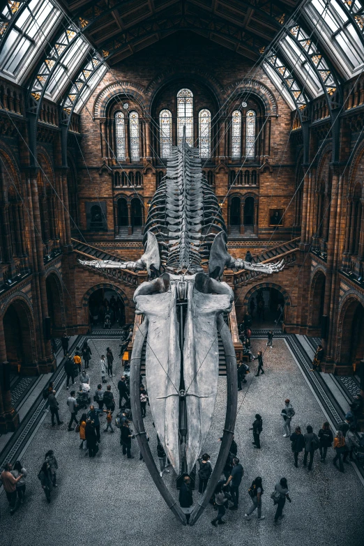 an overhead view of a museum filled with a giant whale