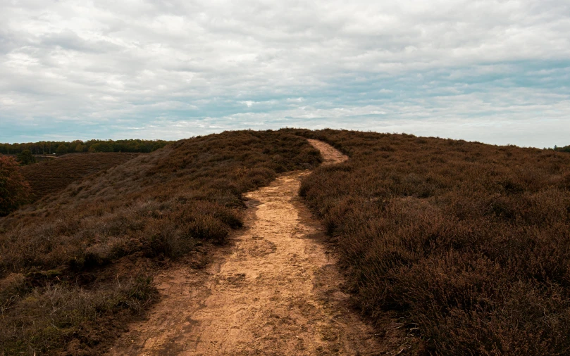 a trail cuts a dirt path uphill in the distance