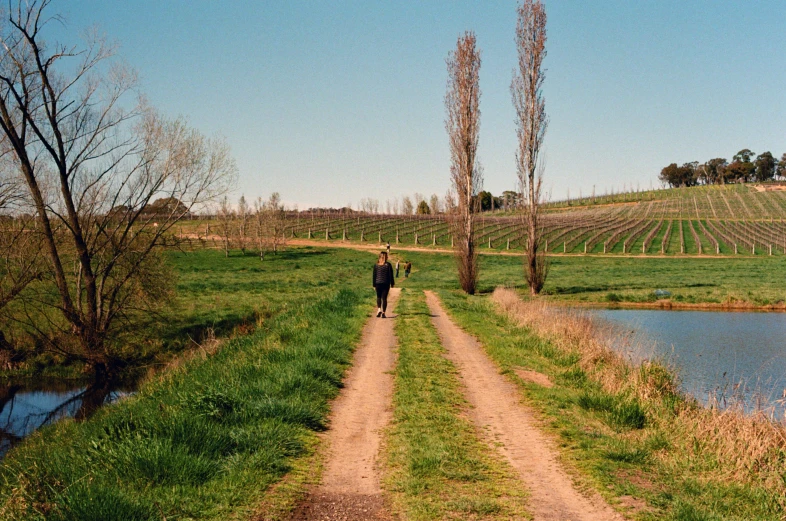 a person walking down a dirt road next to a body of water