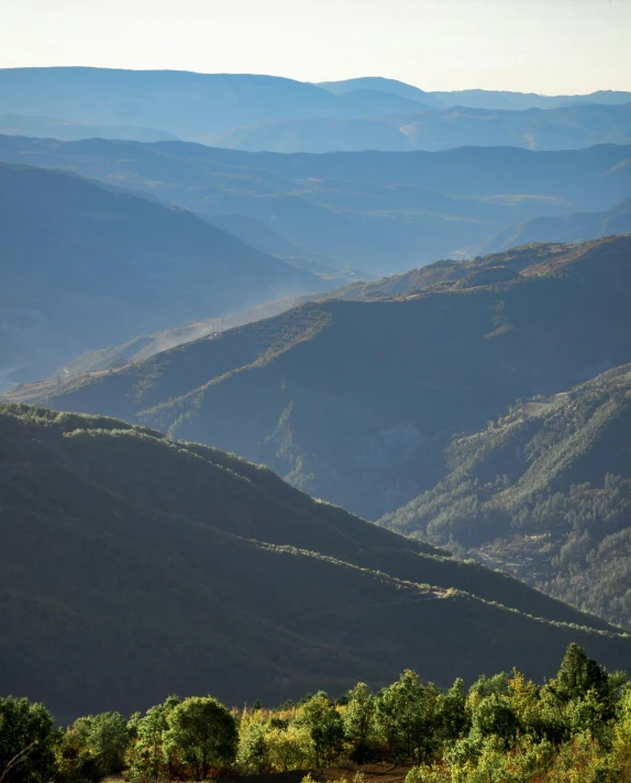 a mountain range with a sheep and its baby in the foreground