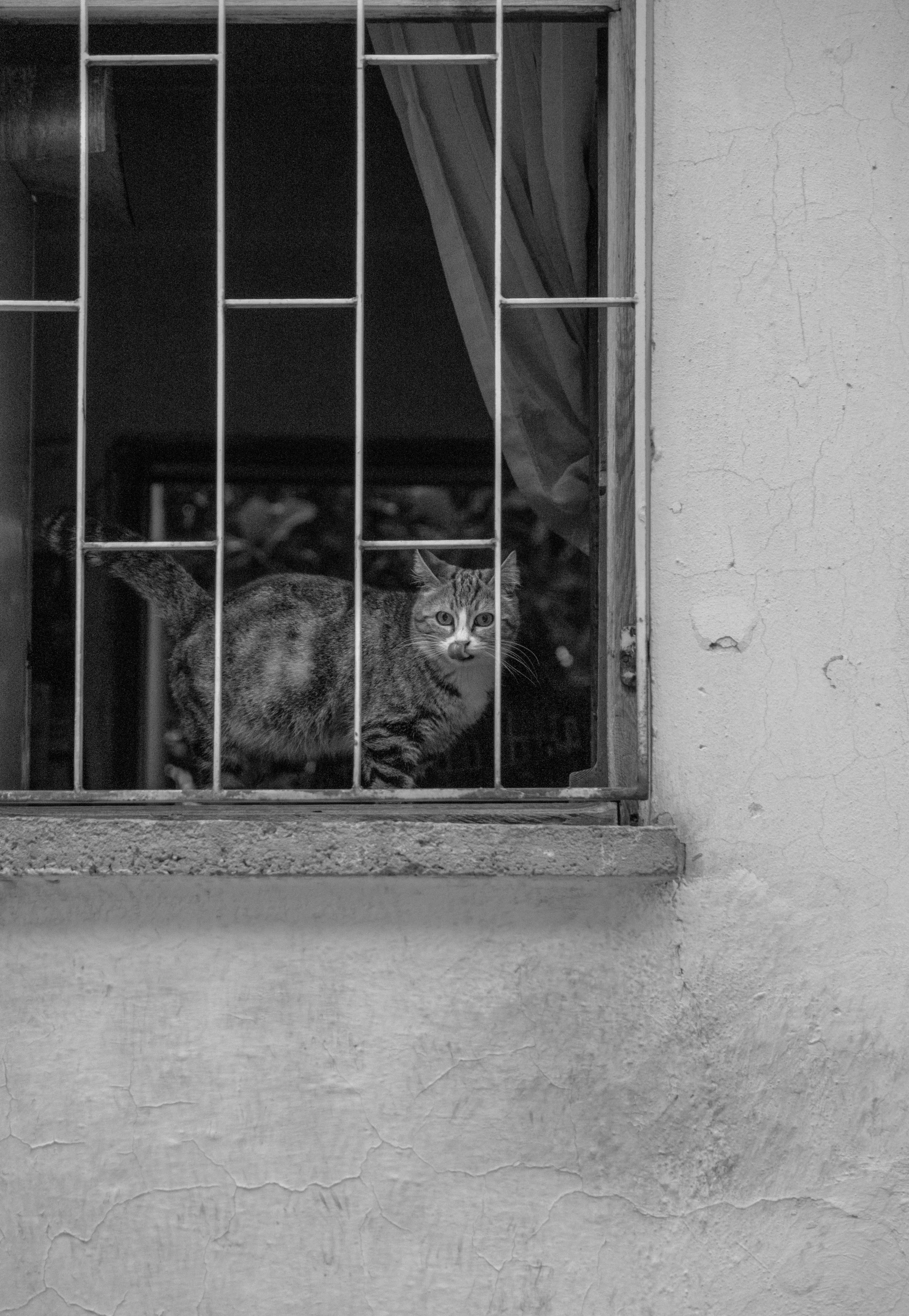 there is a window on the wall with a cat sitting in it