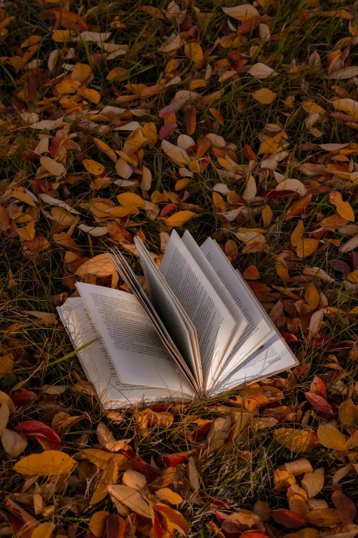 a book lying on the ground with its pages folded down