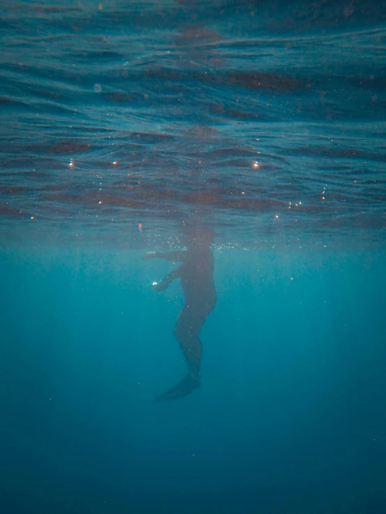 a person on a surfboard under water