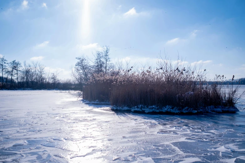 a view from the edge of a field with snow