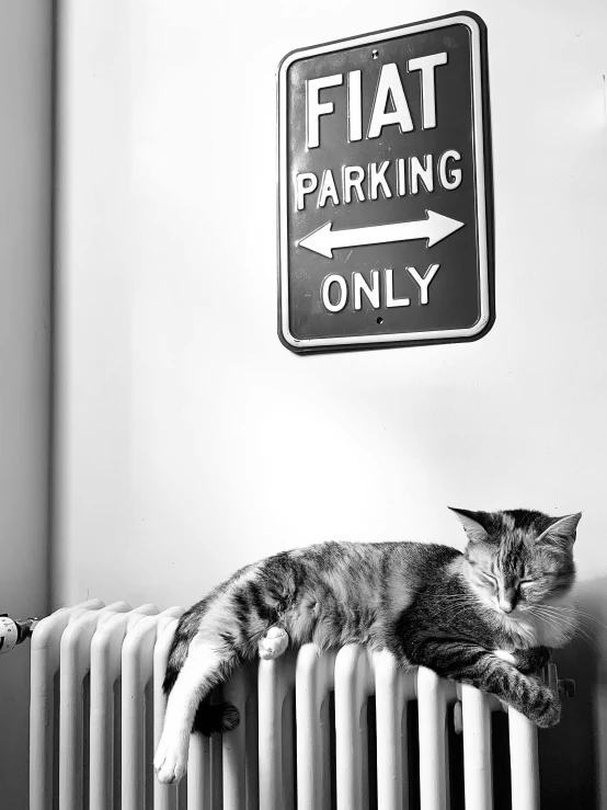 a cat sleeping on the radiator next to the heat