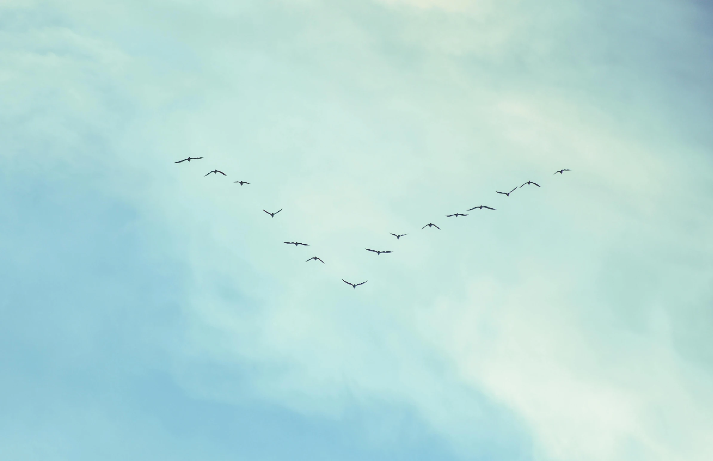 a large flock of birds flying through a cloudy blue sky