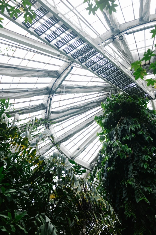 the ceiling of an indoor canopy at gardens by the bay