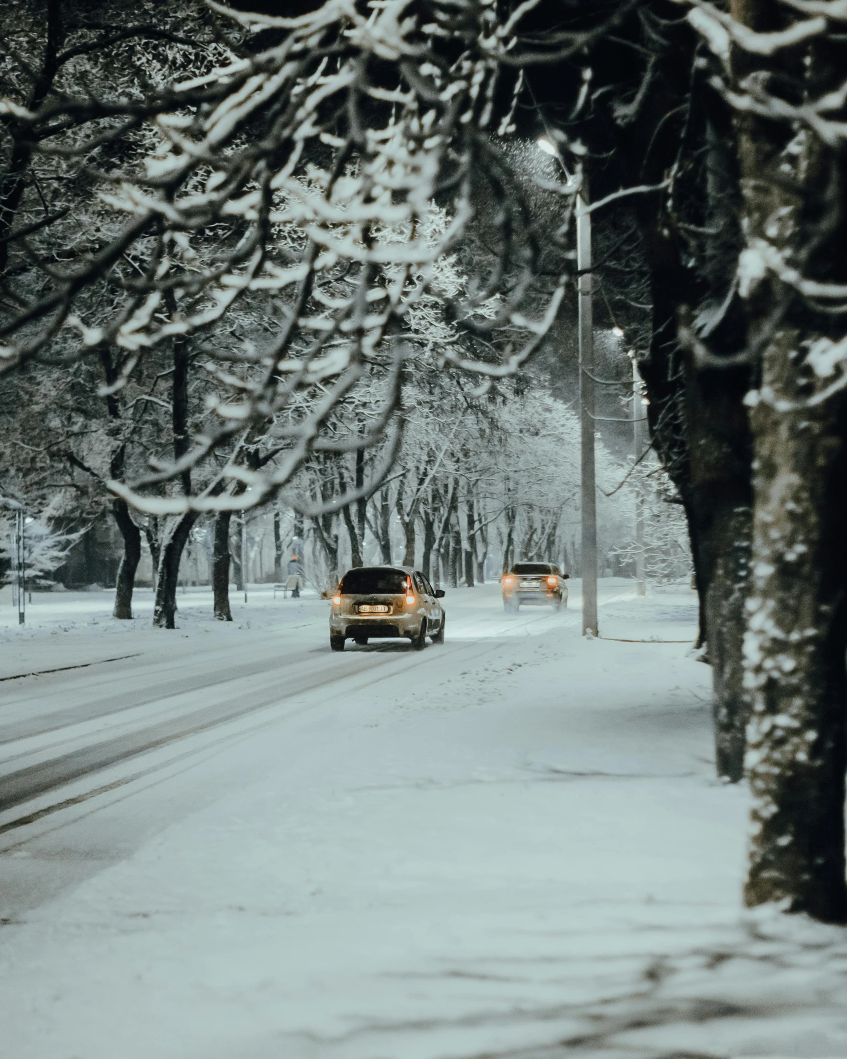 two cars driving down a snowy road in the snow