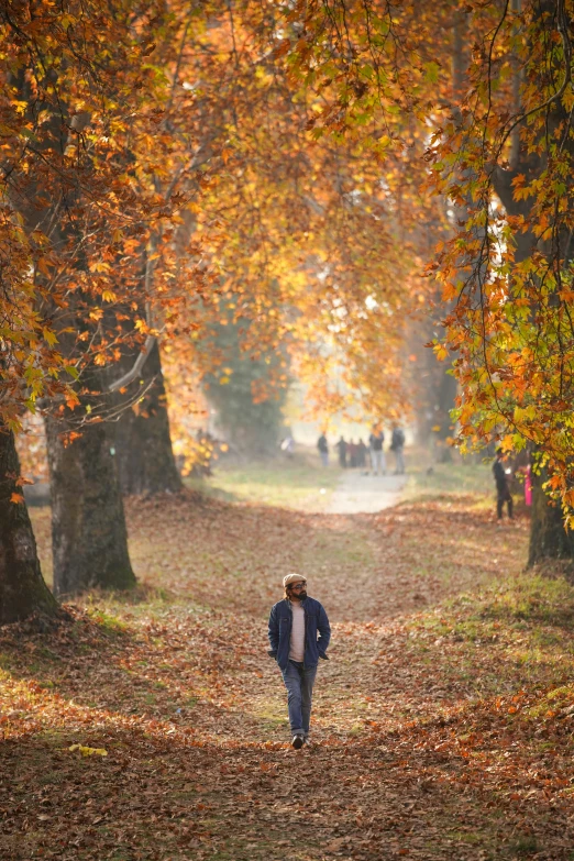 a man walking down a leaf covered path