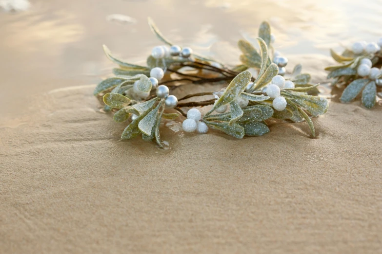 a close up of a bush with some small flowers on sand