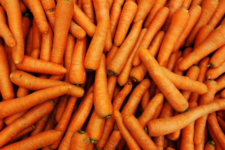 a group of very large group of bunches of carrots