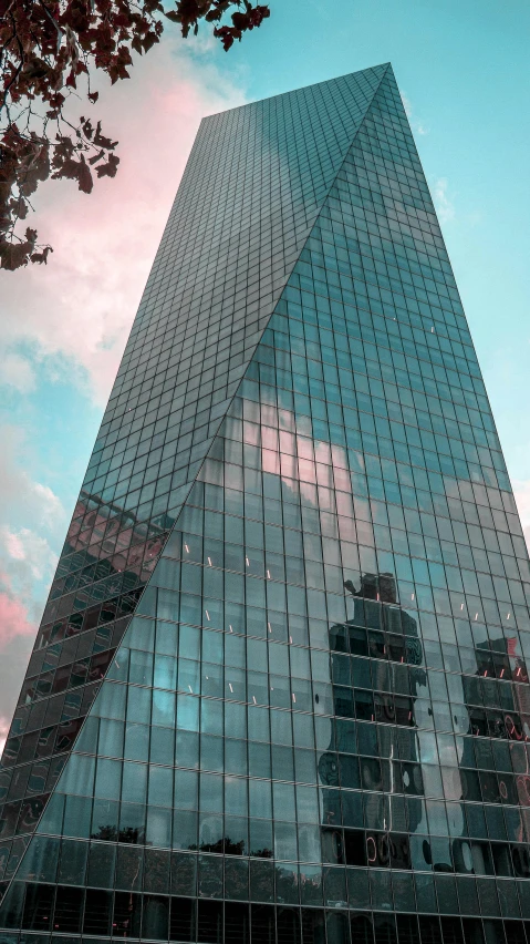 a reflection in a tall building next to a tree