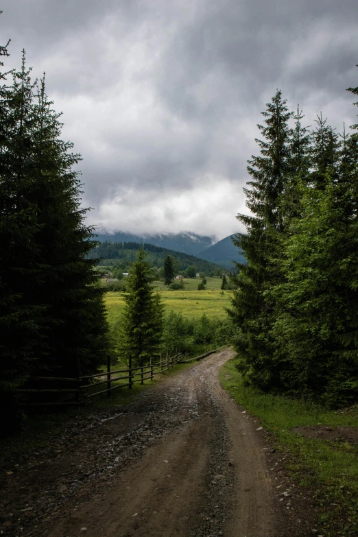 a dark and windy road in the country