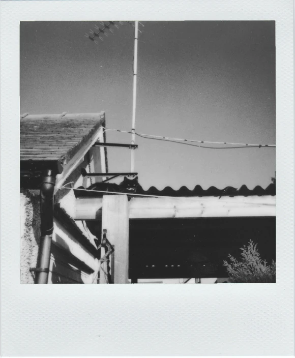 black and white image of old roof with light poles in background
