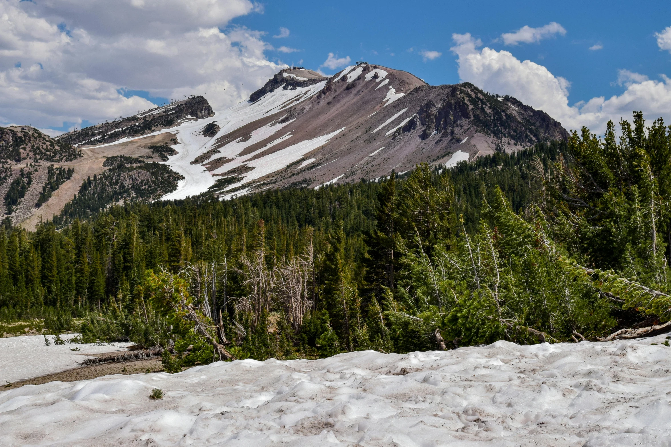 there are snow and plants in the foreground with mountains in the background