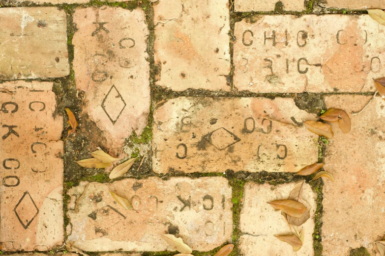 stone pavement with leaves on it has symbols etched on it