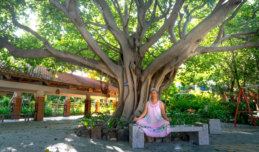 a woman sitting on a bench under a tree