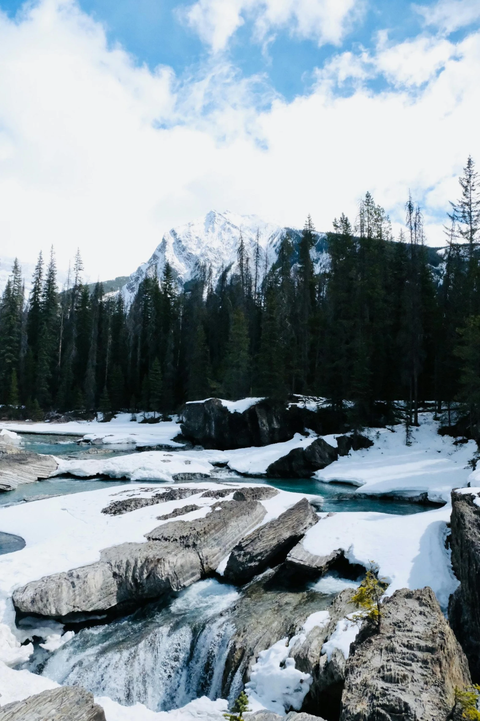 this is the view of a beautiful mountain stream