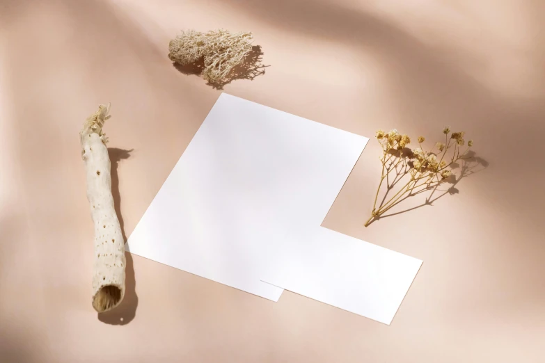 an overhead view of a note, dry flowers, and a long white paper