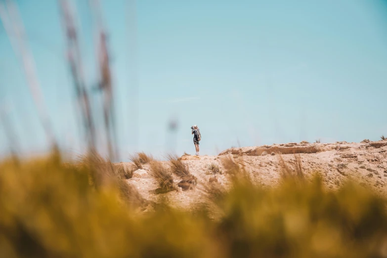 person in the dunes flying a kite high up